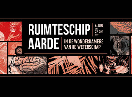 Normal_ruimteschip_aarde_rug