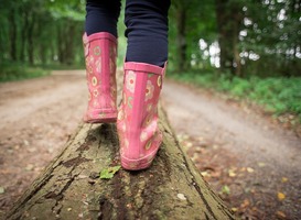 Normal_kind__wandelen__bos