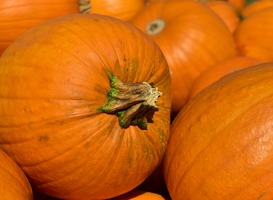 Normal_pumpkin-3636243_1920